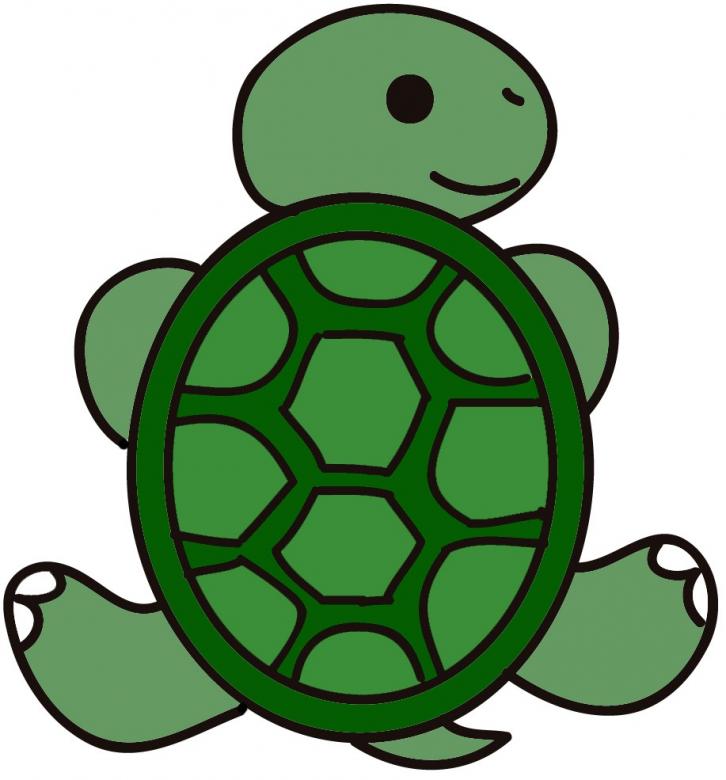 żółw 123 puzzle online