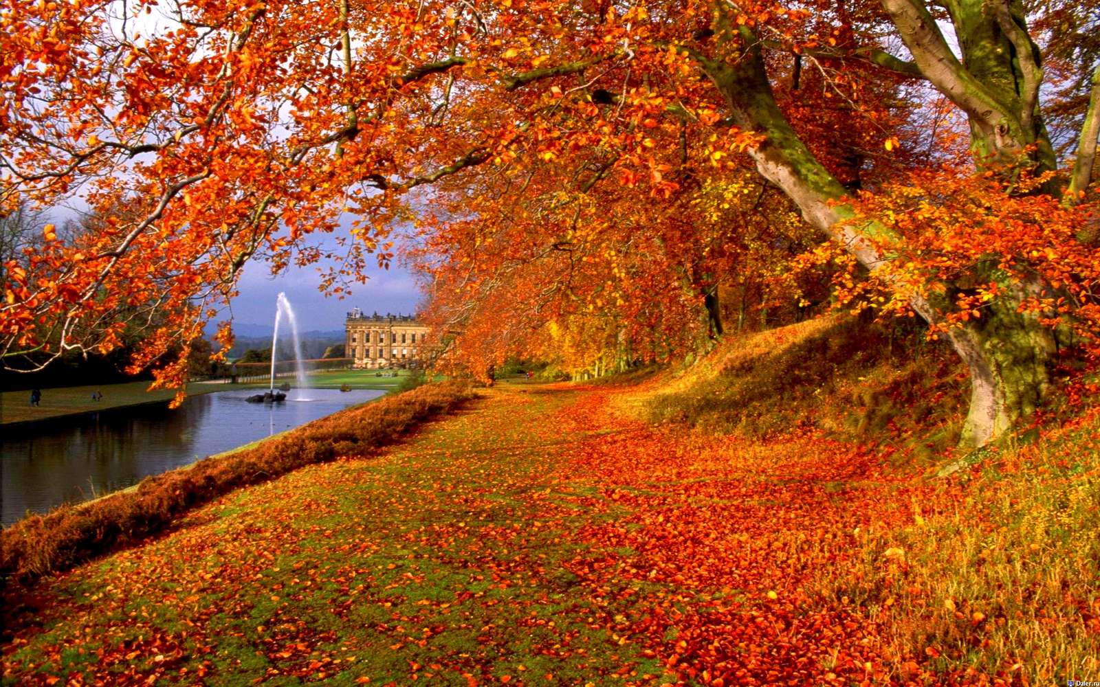 Jesienny krajobraz. liście jesienne, jesienne liśc puzzle online