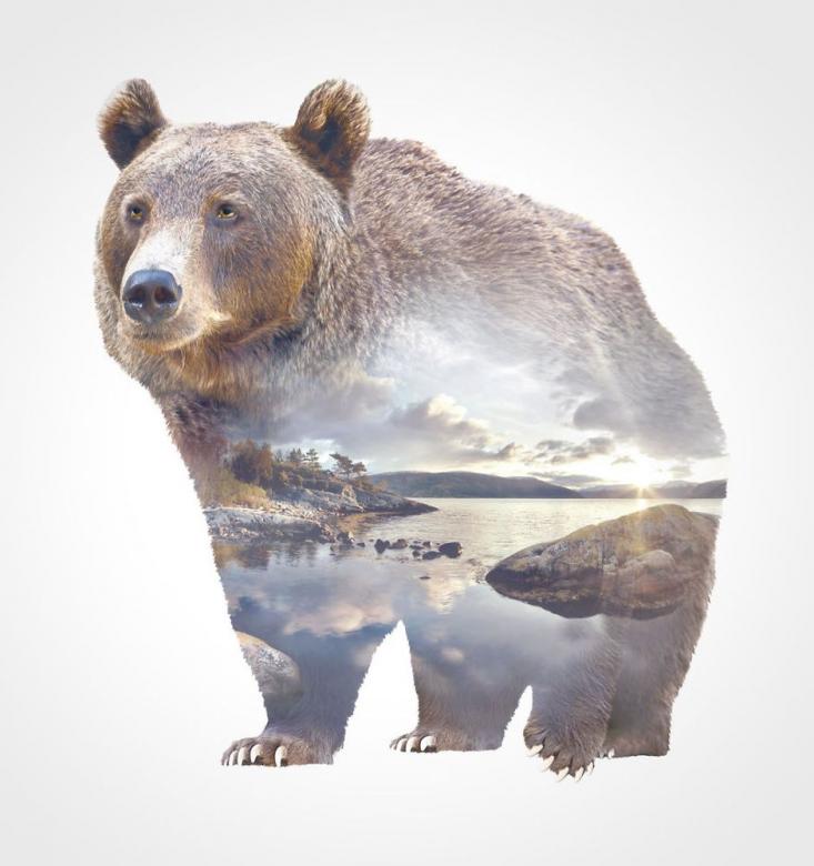 Ett landskap med en björn. pussel