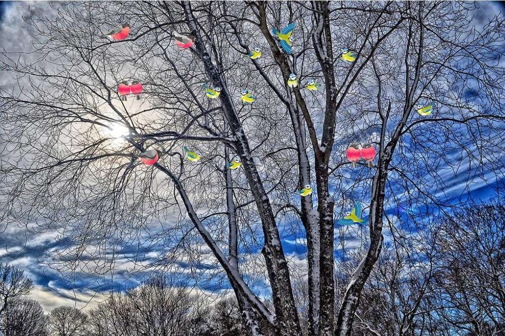 Kolorowe ptaki na drzewie puzzle online