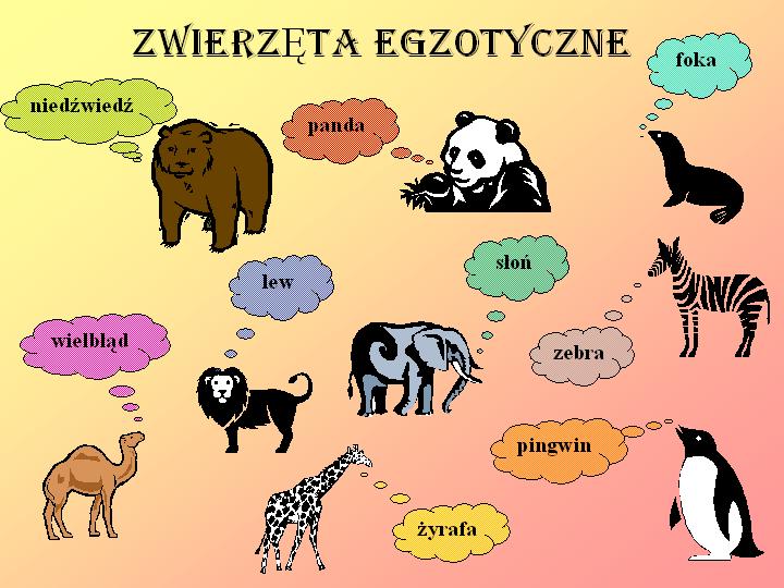 Egzotyczne zwierzęta. puzzle online