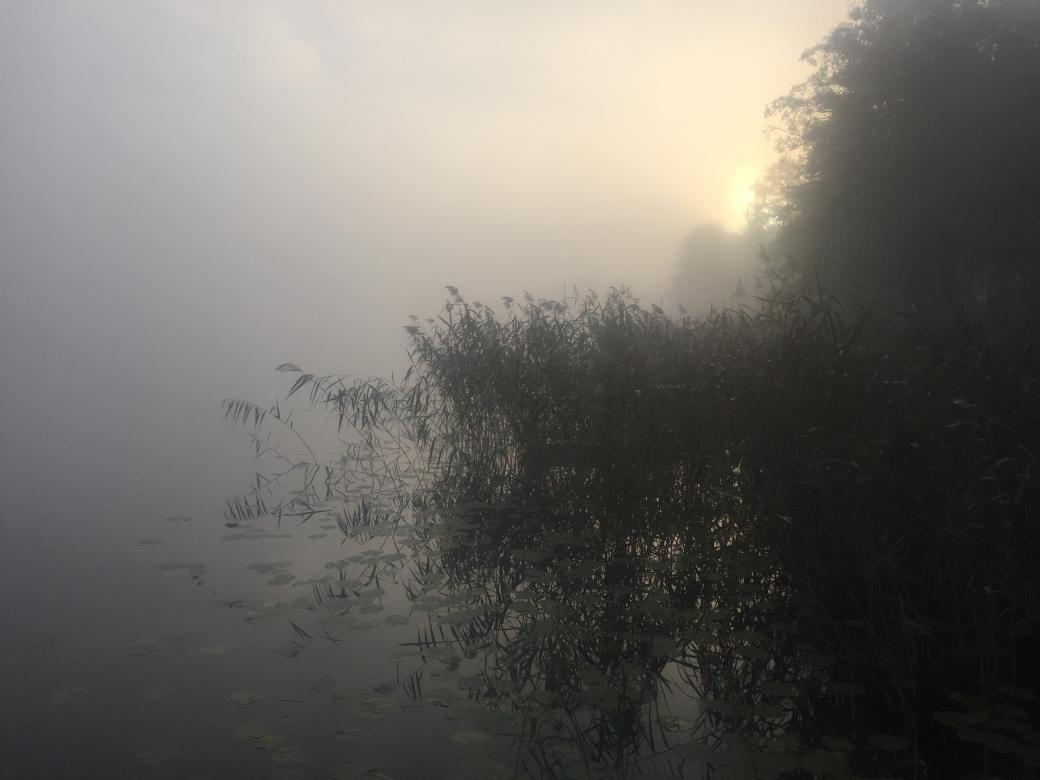 朝の霧 パズル