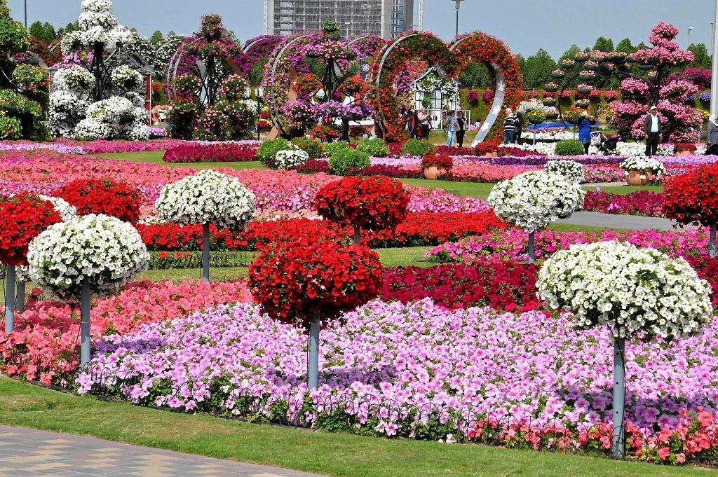 Dubaj-ogród kwiatowy puzzle online