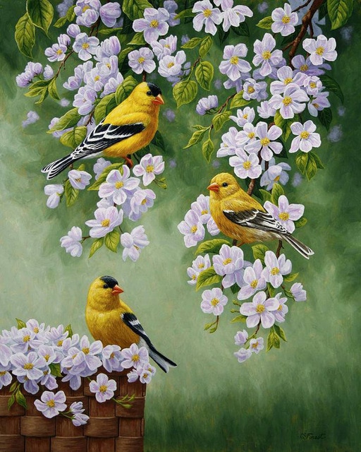 Żółte ptaki. puzzle online