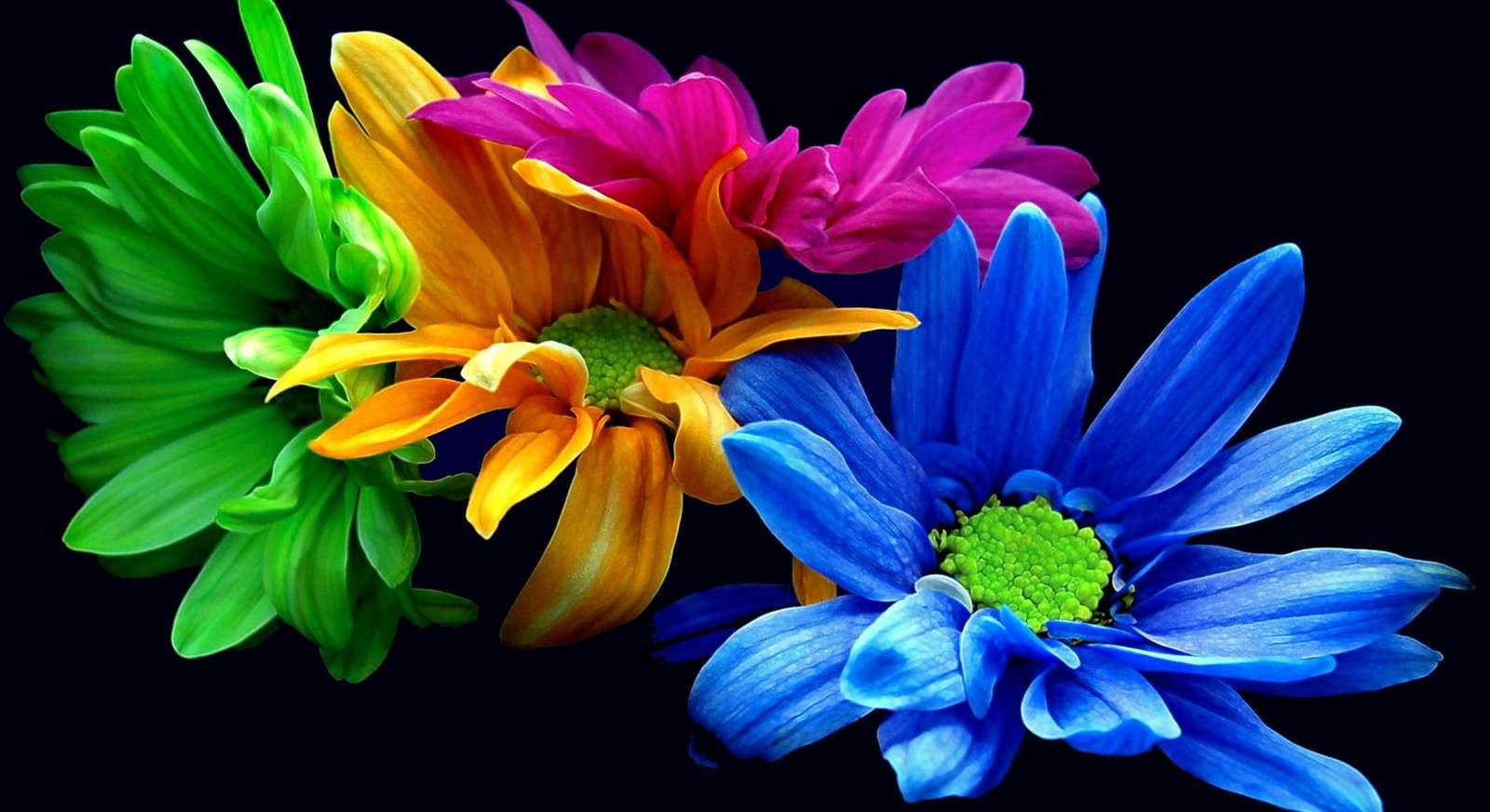 kolorowe kwiatki puzzle online