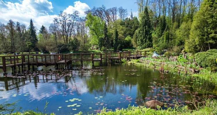 Arboretum w Bolestraszycach puzzle online