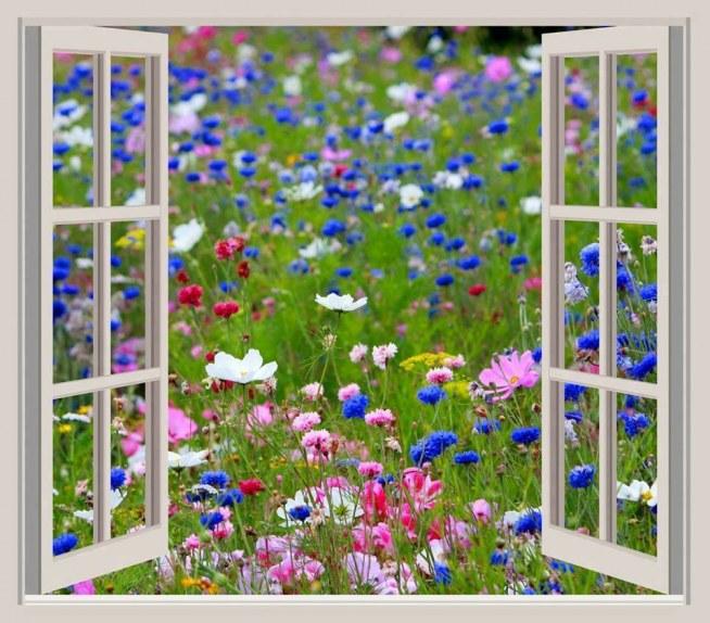 Kwiaty za oknem puzzle online