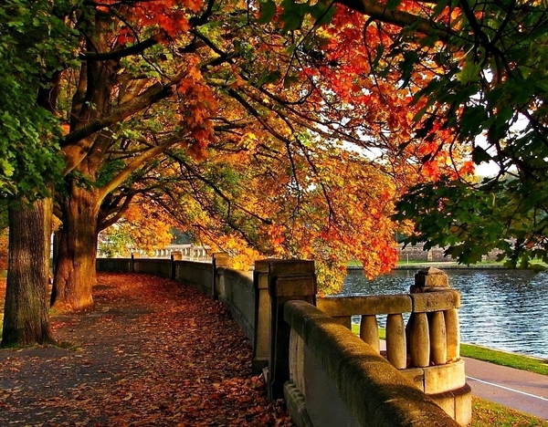 Jesienią w parku. puzzle online