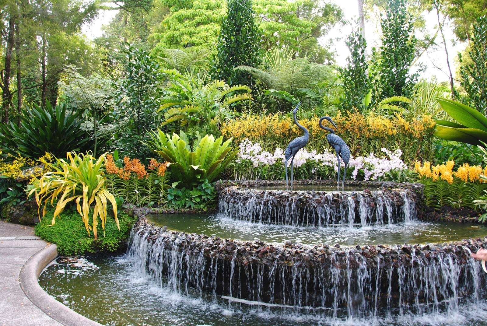 Singapur-Ogród Orchidei puzzle online