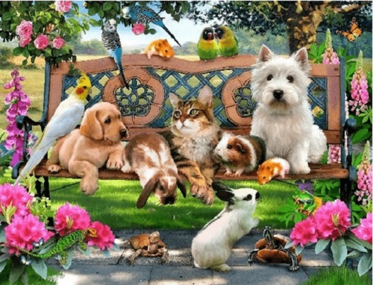 Urocze zwierzaki na ławce. puzzle online