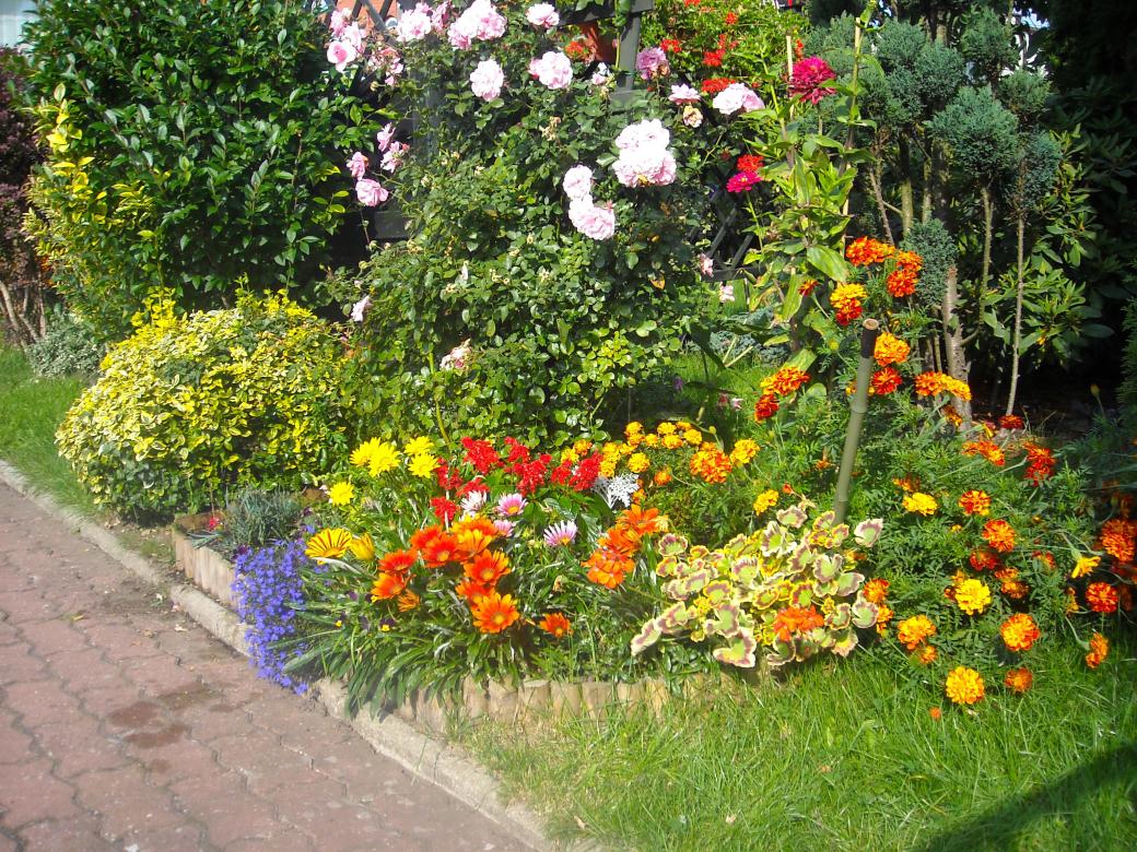 kwiaty w ogrodzie puzzle online