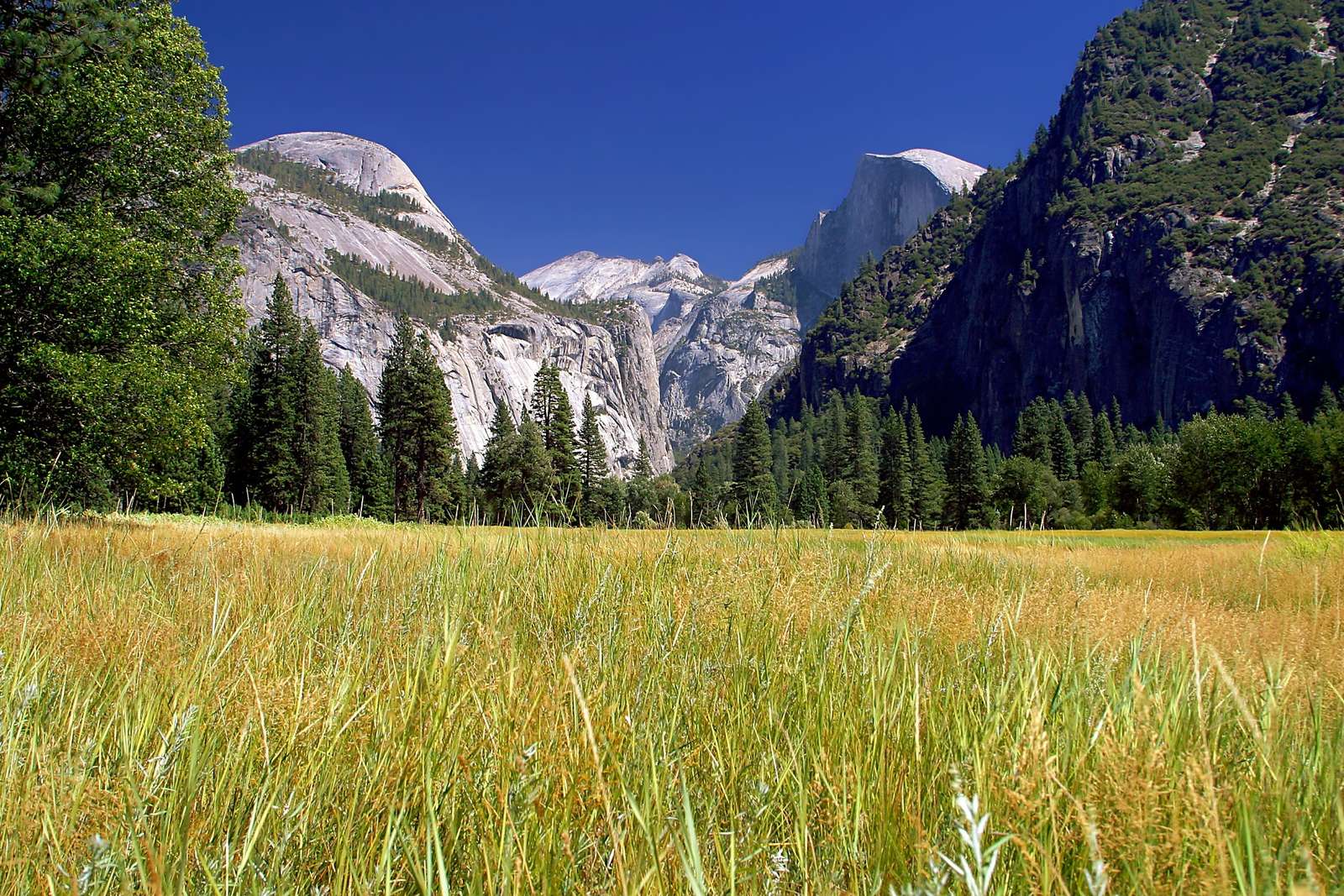 Park Narodowy Yosemite puzzle online