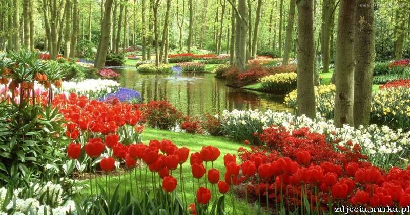 Park pełen kwiatów puzzle online