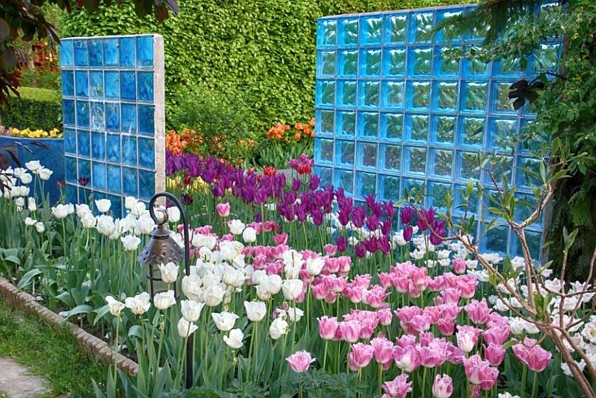 w świecie tulipanów puzzle online
