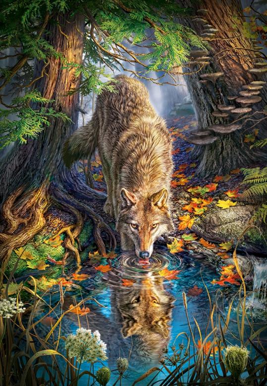 Wilk przy wodopoju. puzzle online