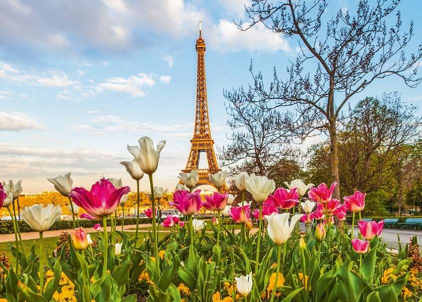 Tulipany w Paryżu puzzle online