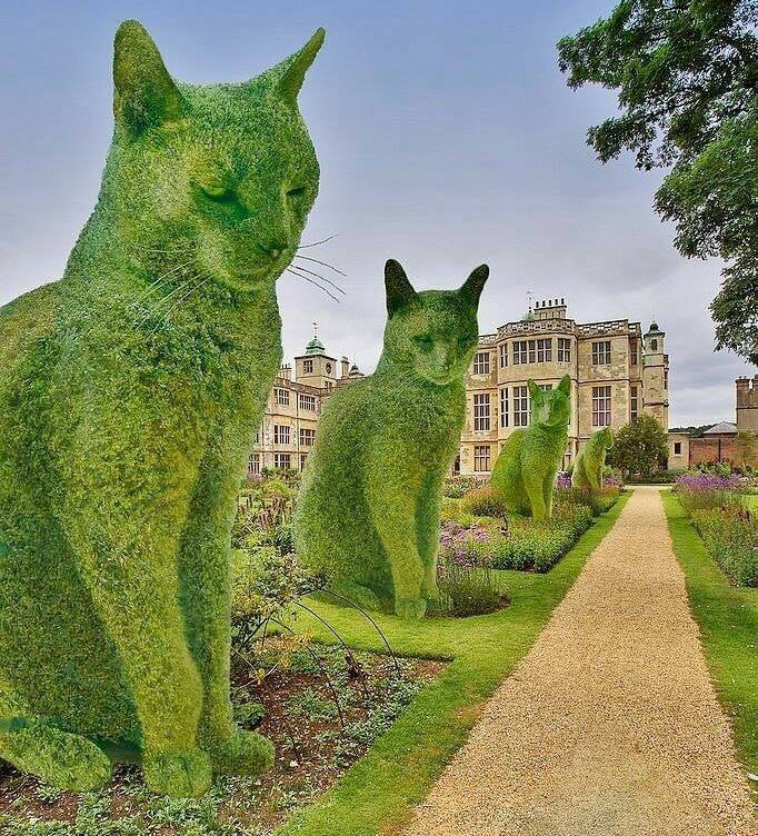 Aleja zielonych kotów puzzle online