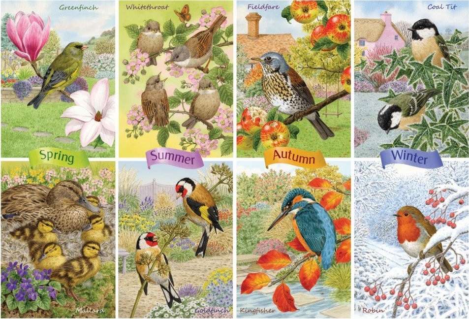 Ptaki na każdą porę roku. puzzle online