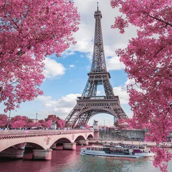 Paryż i kwitnące wiśnie . puzzle online