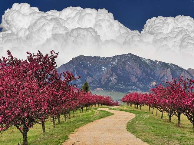 Góry, chmury i kwitnące drzewa puzzle online