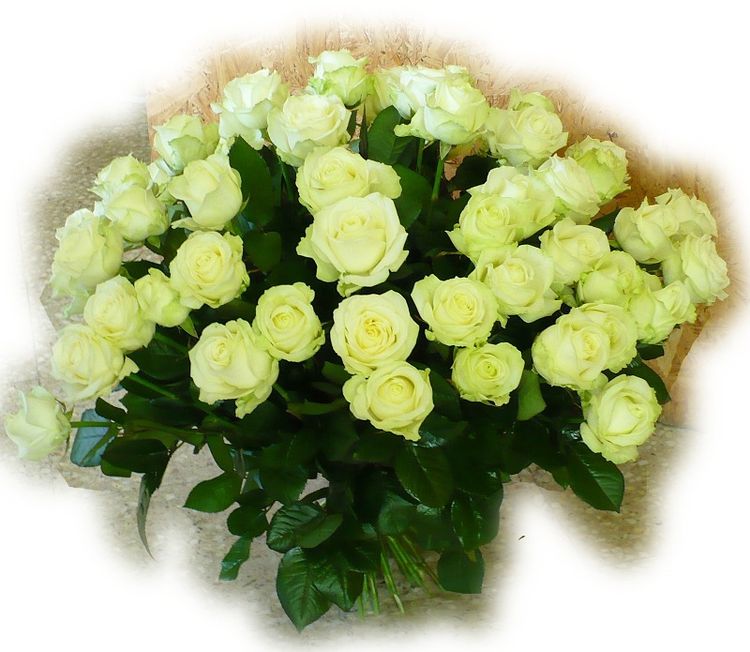 Bukiet biaych róż, białe róże puzzle online