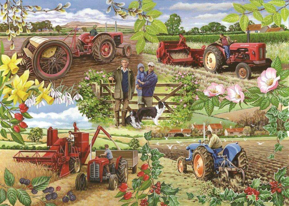 Agrarisch landschap. puzzel