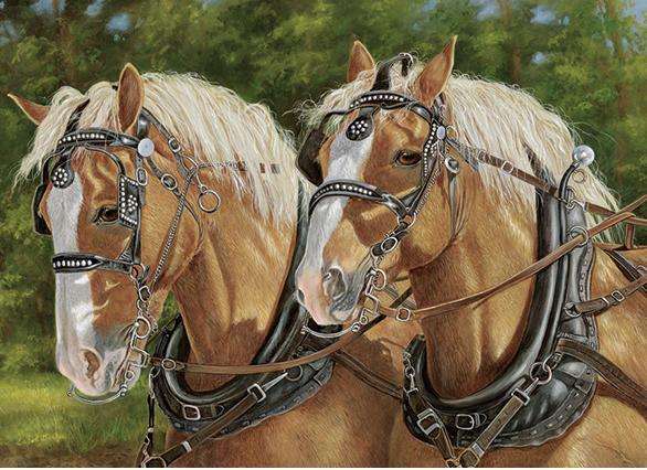 Piękne konie. puzzle online