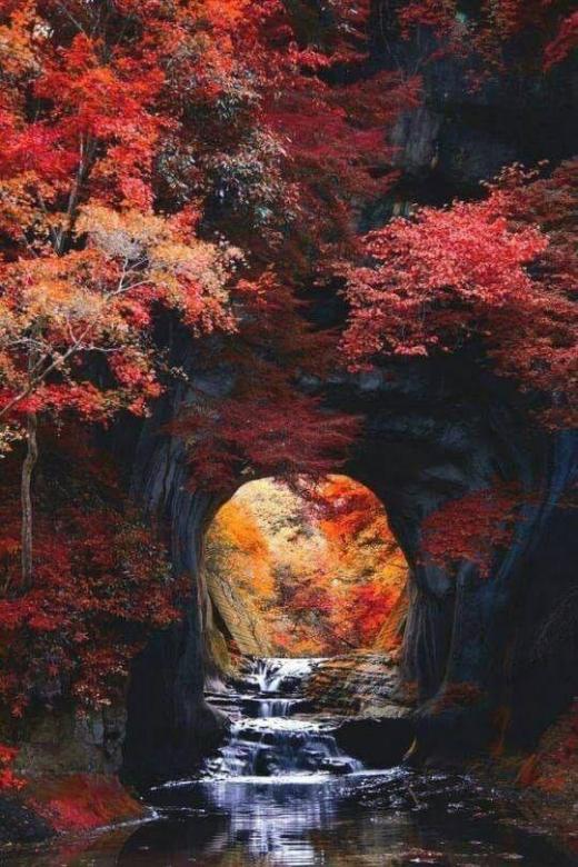 Drzewa kolorową jesienią, Czerwone liście jesienne puzzle online