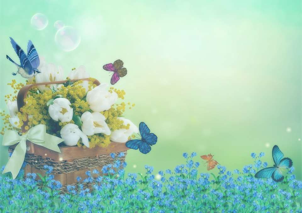 Motyle i kwiaty puzzle online