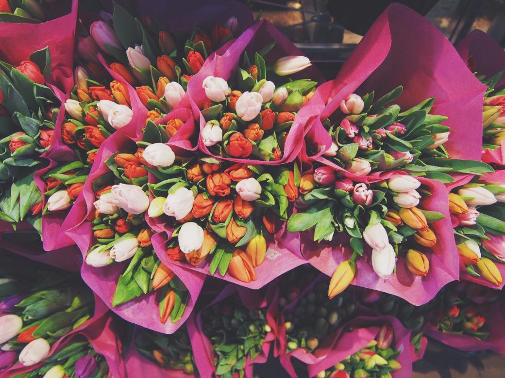 Kolorowe tulipany puzzle online