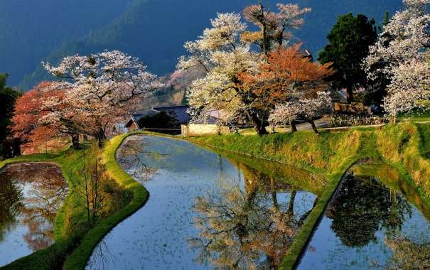 Japoński krajobraz. puzzle online