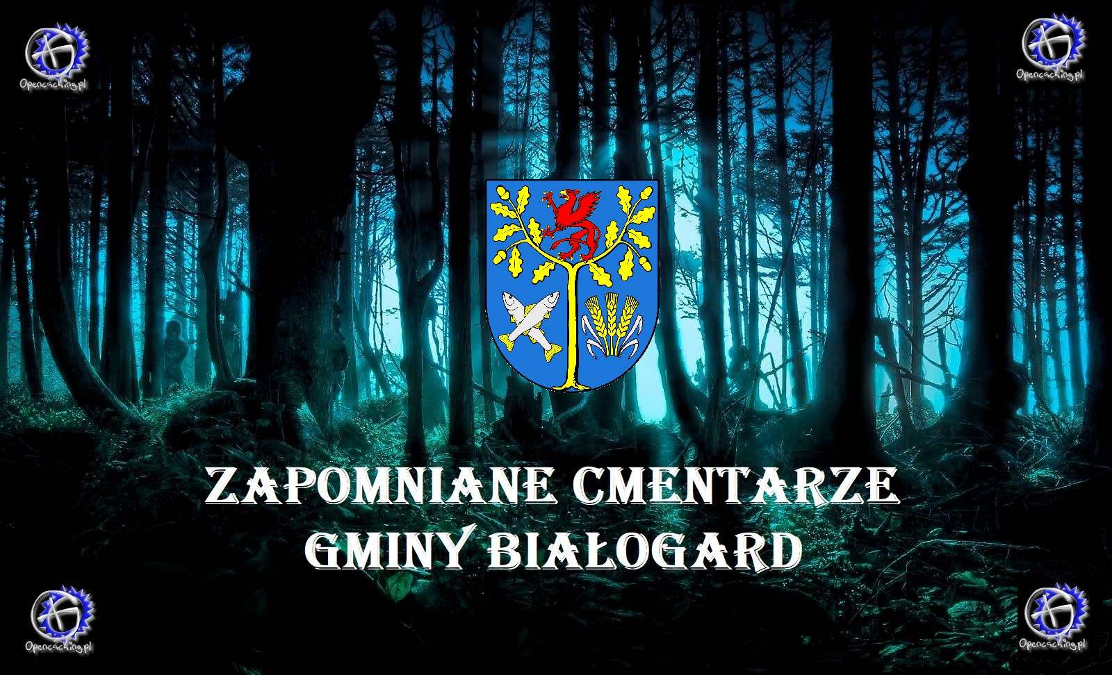 Zapomniane cmentarze gminy Białogard puzzle online