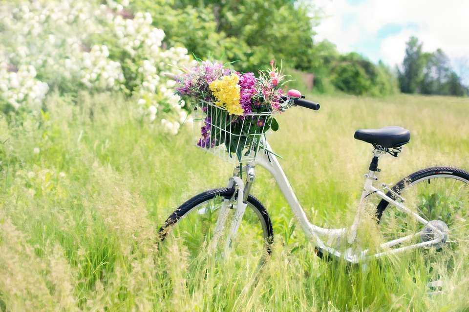 Rower z kwiatami puzzle online