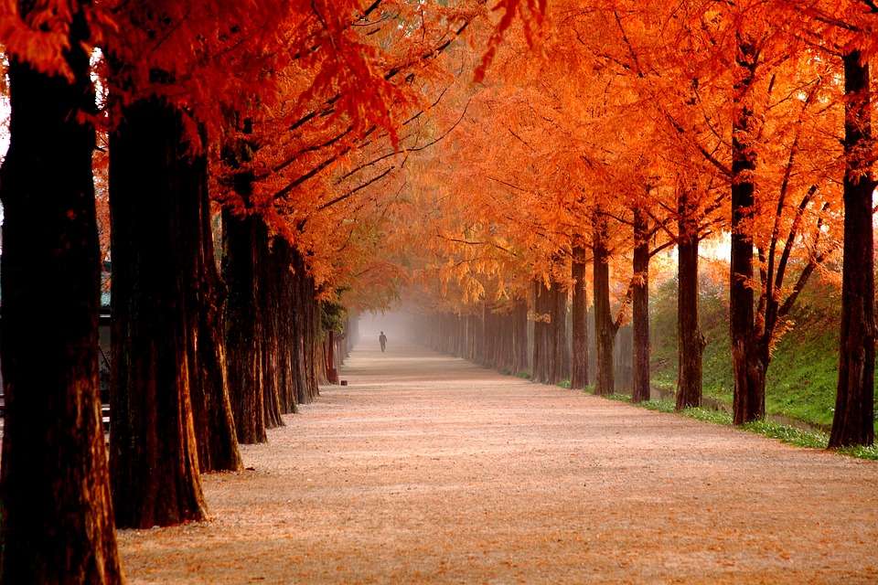 Есента в алеята пъзел