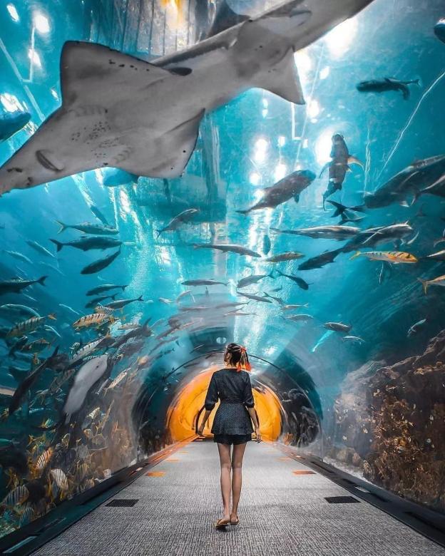Дубайский аквариум, Объединенные Арабские Эмираты онлайн головоломка