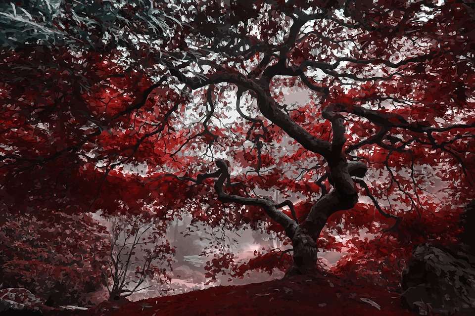 Czerwone drzewo puzzle online