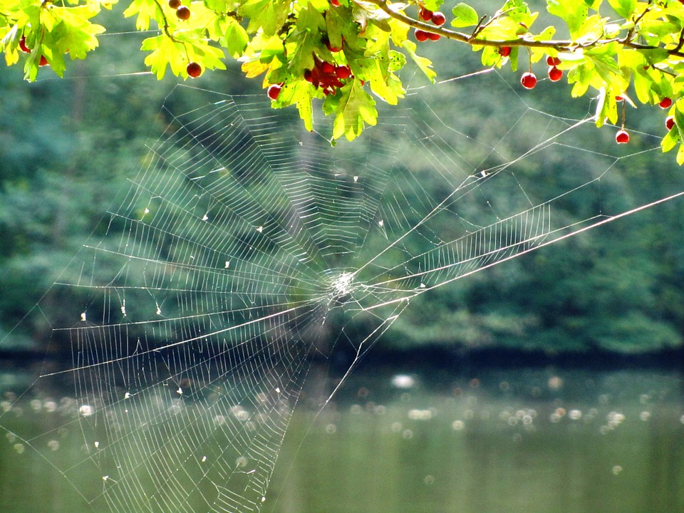 Spinnenweb legpuzzel