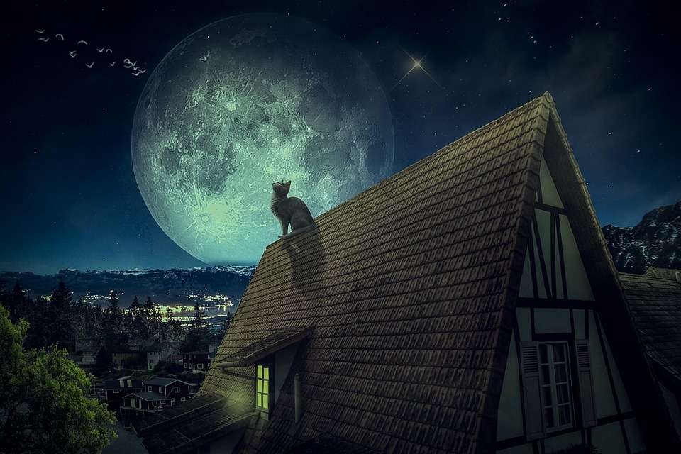 Eine Katze auf dem Dach Puzzle