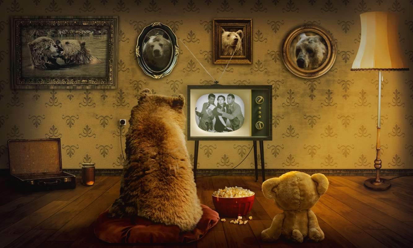 Bear and Teddy oglądaj telewizję puzzle online