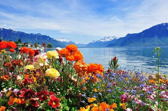 Kwiaty nad górskim jeziorem. puzzle online