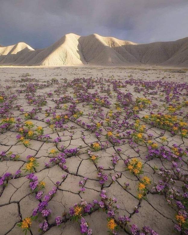 Atacama sivatag kirakós