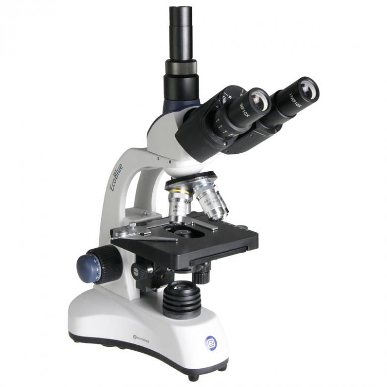 Mikroskop (stgr. μικρός mikros – "mały" i σκοπέω s puzzle online