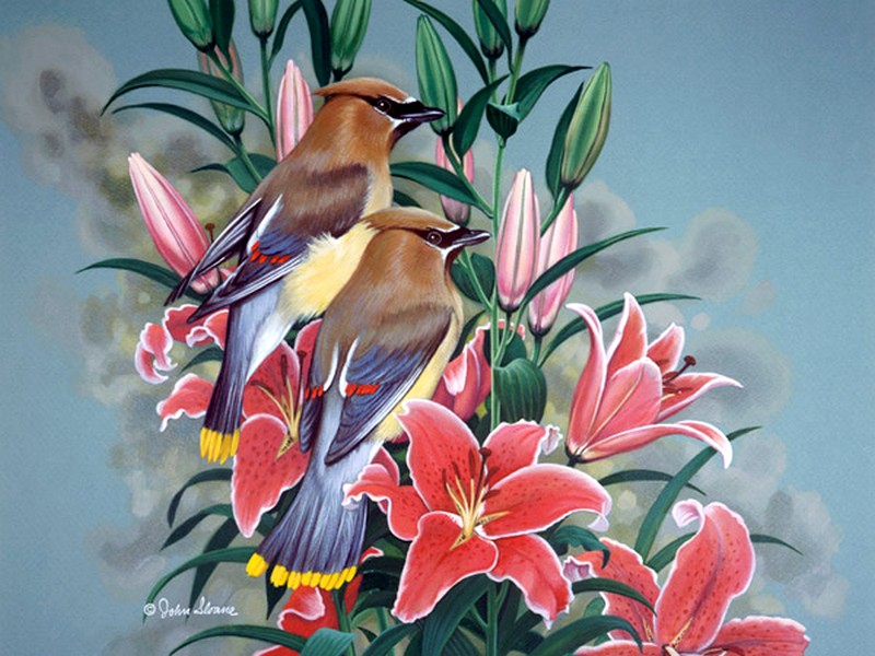 Kwiaty i ptaki. puzzle online