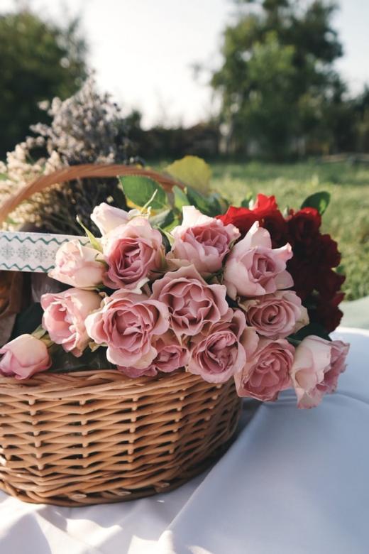 Herbaciane róże puzzle online