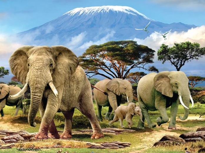 Afrykańskie słonie. puzzle online