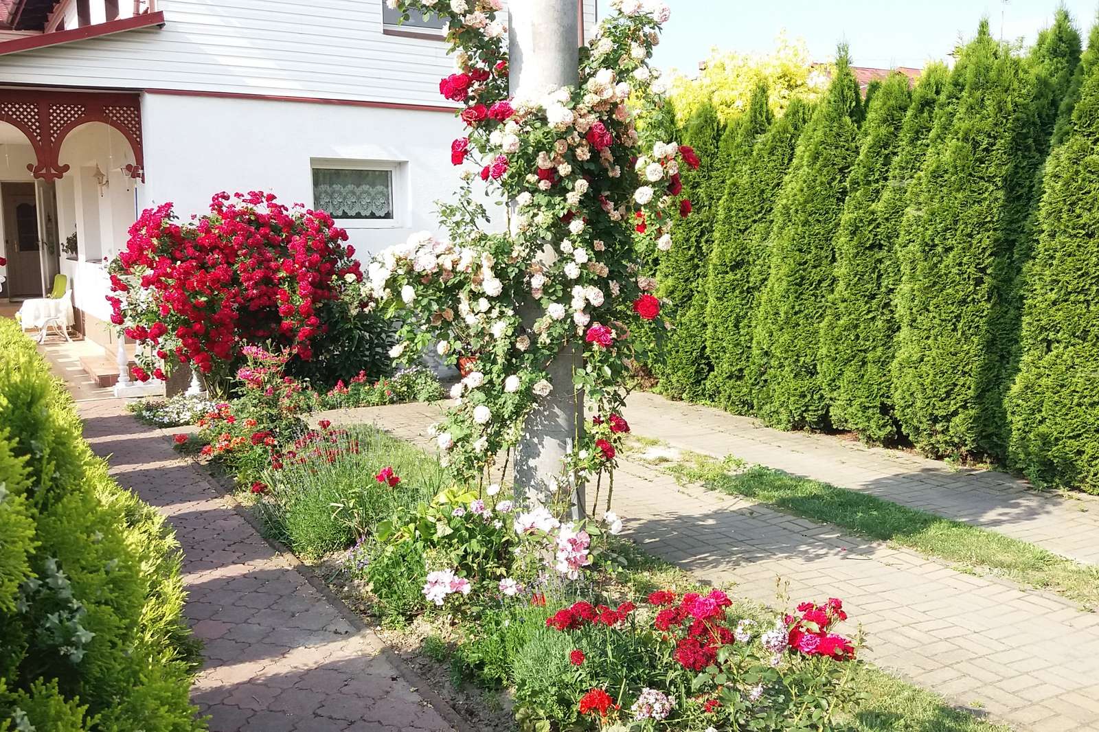 Piękny ogródek różany puzzle online