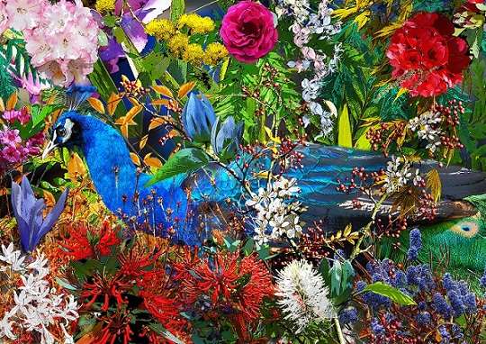Colorful flowers. jigsaw puzzle