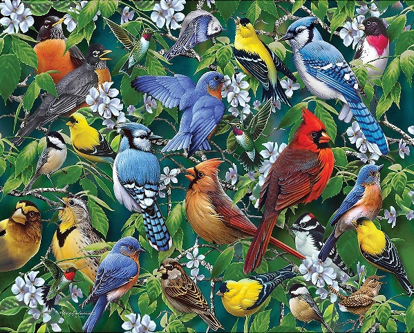 Oiseaux colorés. puzzle