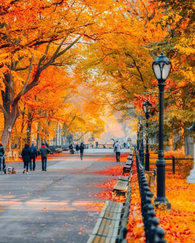 Central Park w Nowym Jorku w jesiennej scenerii puzzle online
