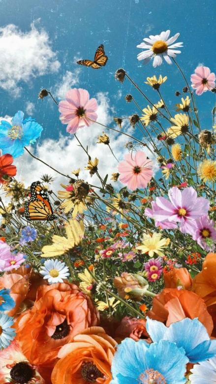 Kolorowe kwiaty polne puzzle online